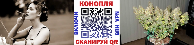 Марихуана ГИДРОПОН  купить наркотики сайты  Межгорье 